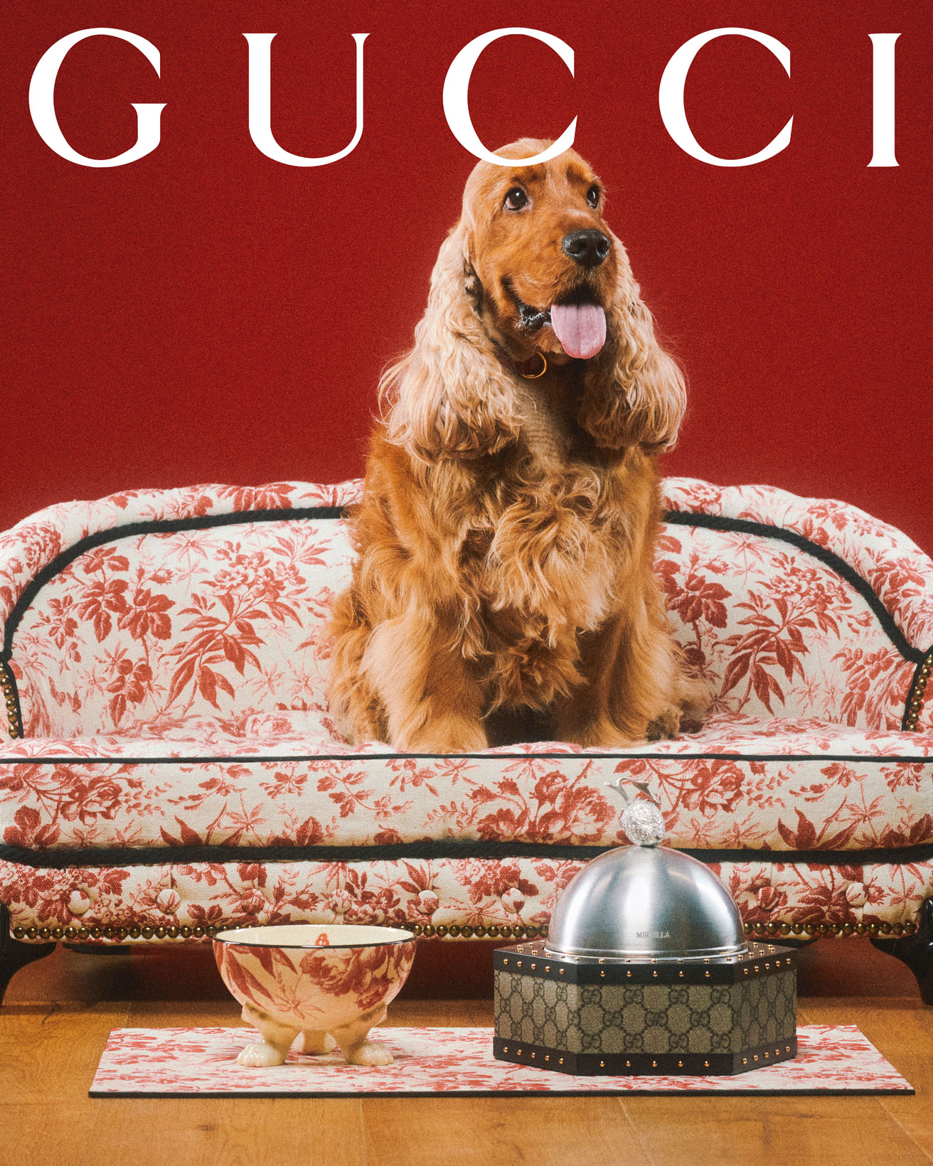 Gucci huisdieren collectie