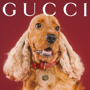 gucci-lanceert-een-speciale-collectie-voor-huisdieren-en-het-is-het-schattigste-ooit-215398