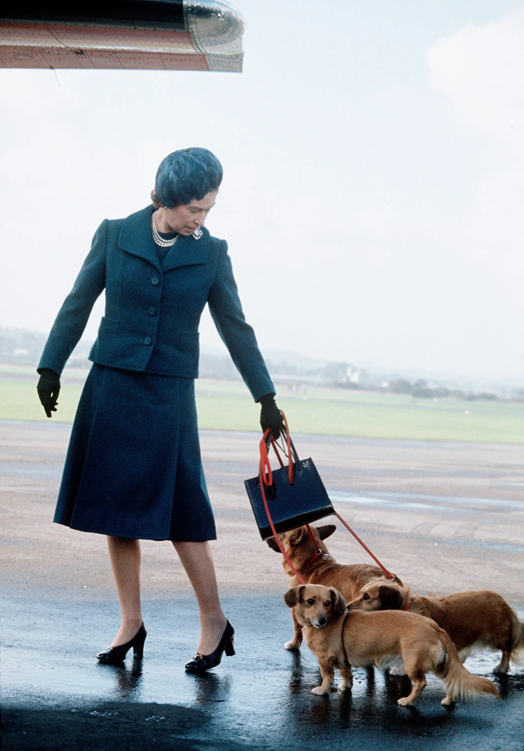Koningin Elizabeth II arriveert met haar corgi's op de luchthaven van Aberdeen voor haar vakantie in Balmoral, Schotland in 1974.