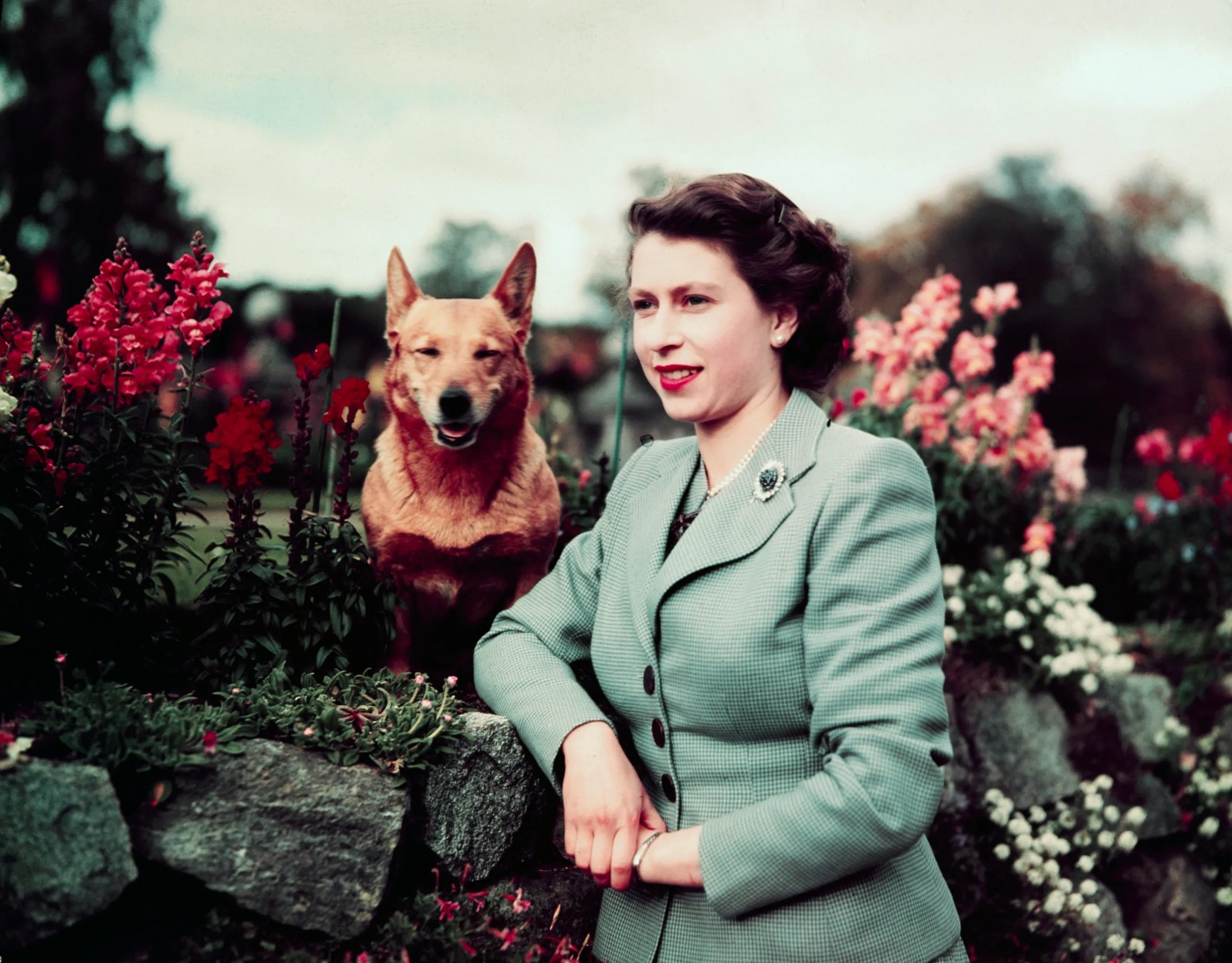 prinses elizabeth bij Balmoral Castle met een van haar Corgi's in september 1952