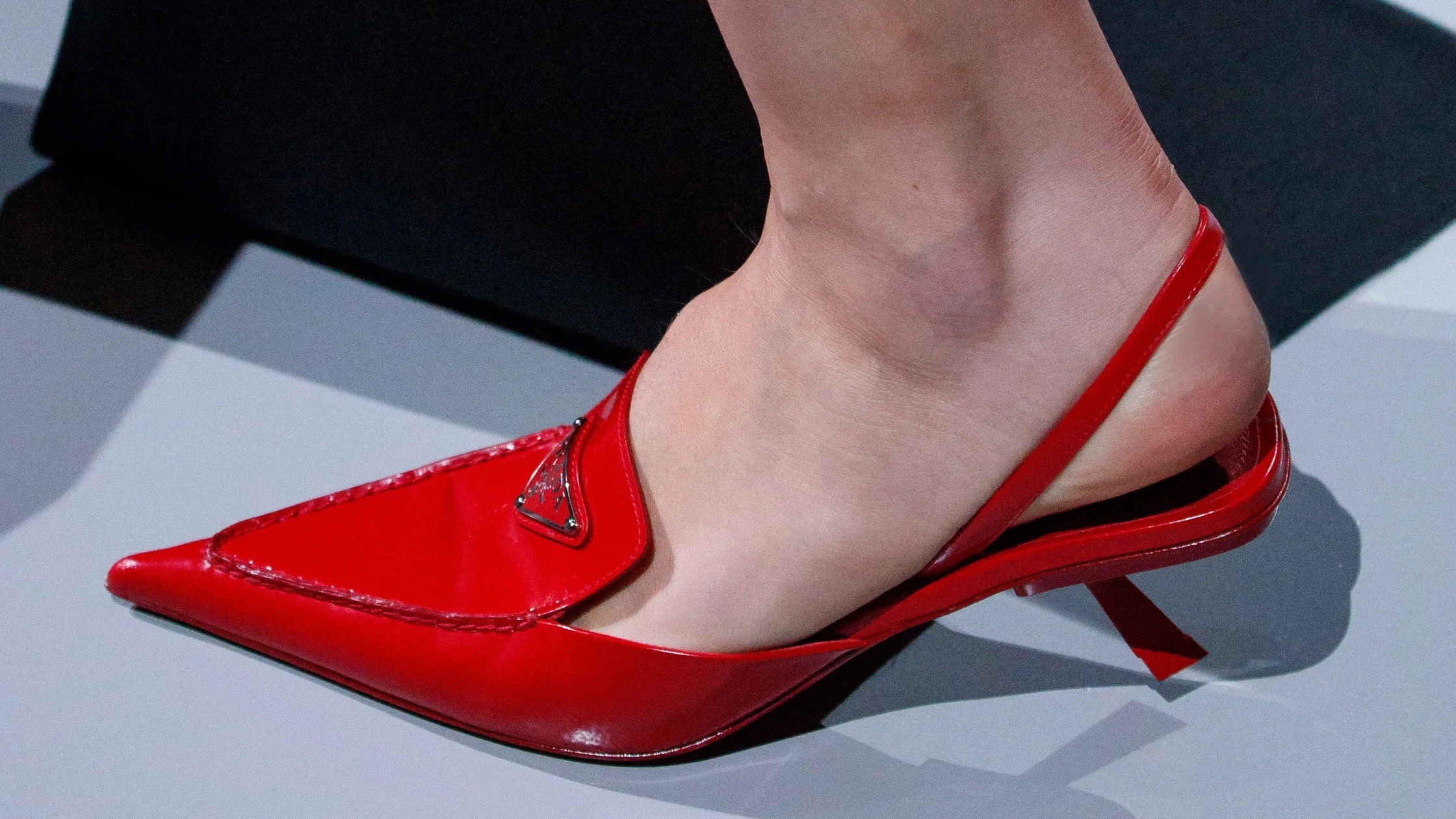 Maak kennis met de nieuwe kitten heel