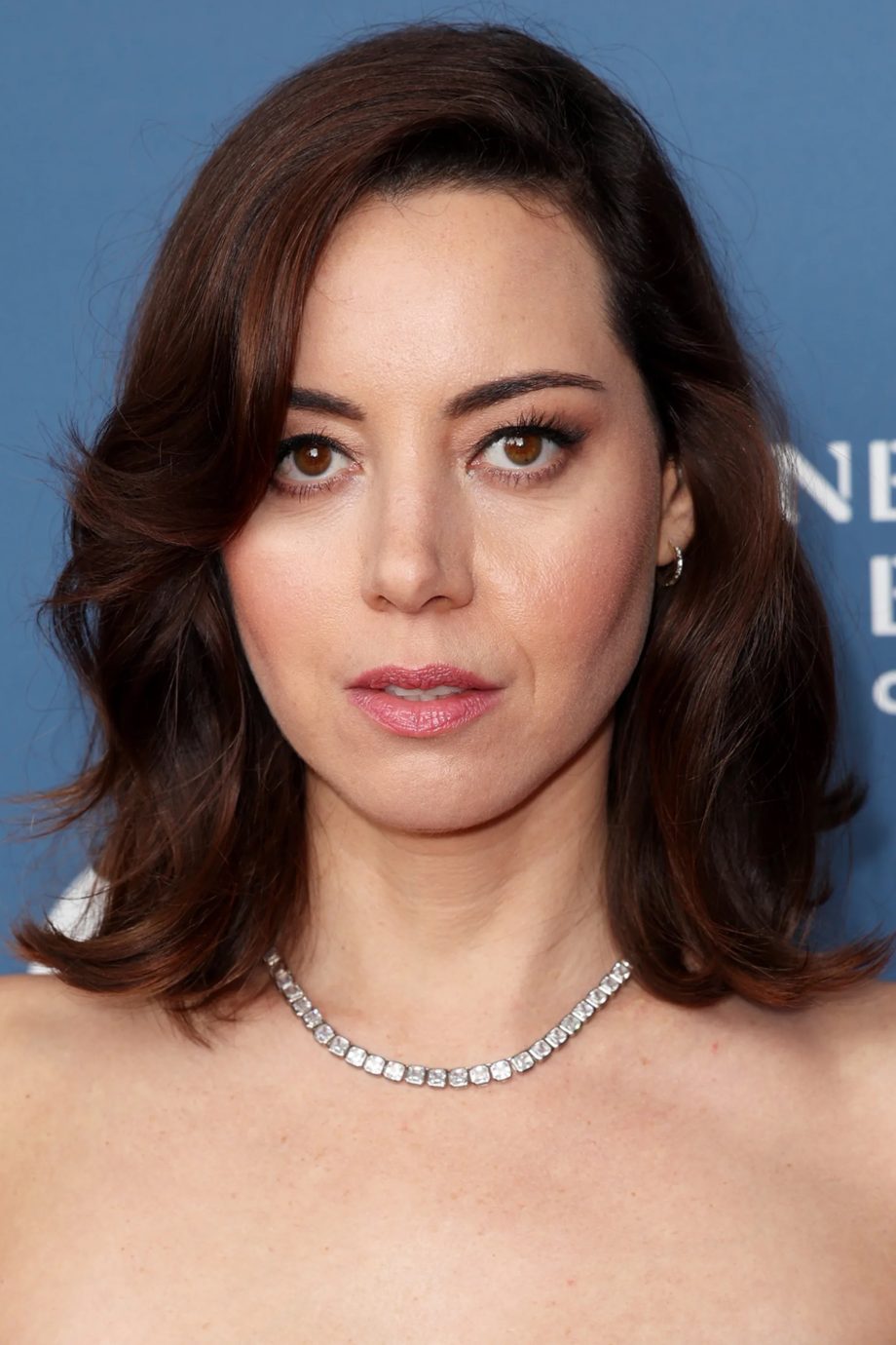 the-white-lotus-ster-aubrey-plaza-ruilt-haar-bruine-lokken-in-voor-een-winterblonde-coupe-234854