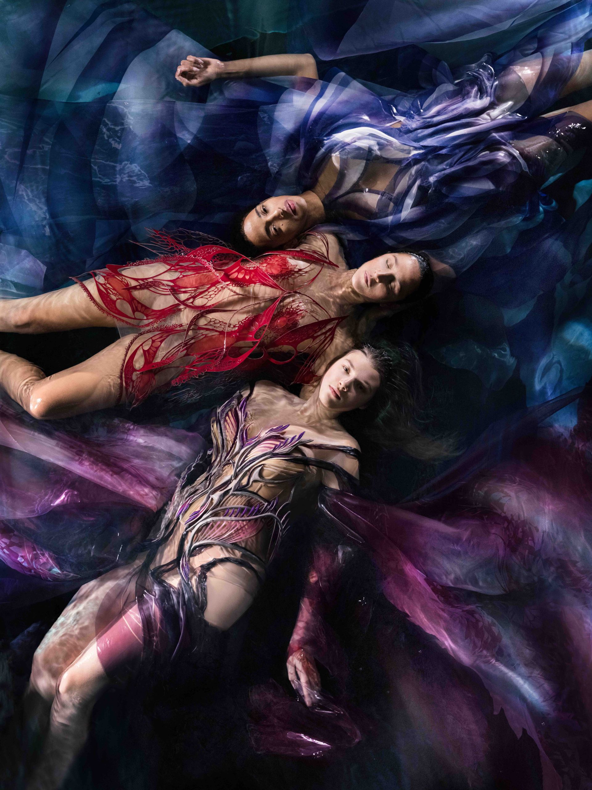 Iris van Herpen Carte Blanche