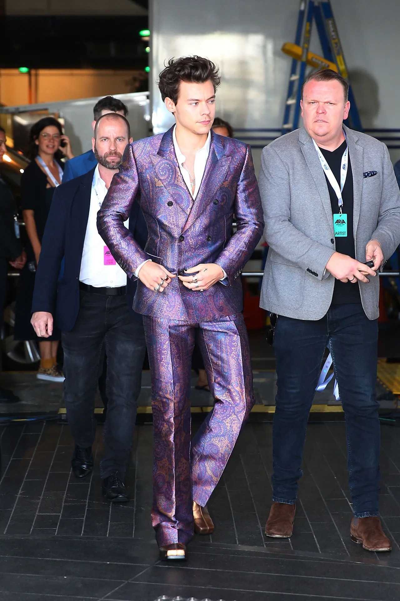 Harry droeg een custom Alexander McQueen-pak met Roker-laarzen naar de Aria Awards in Sydney, november 2017.