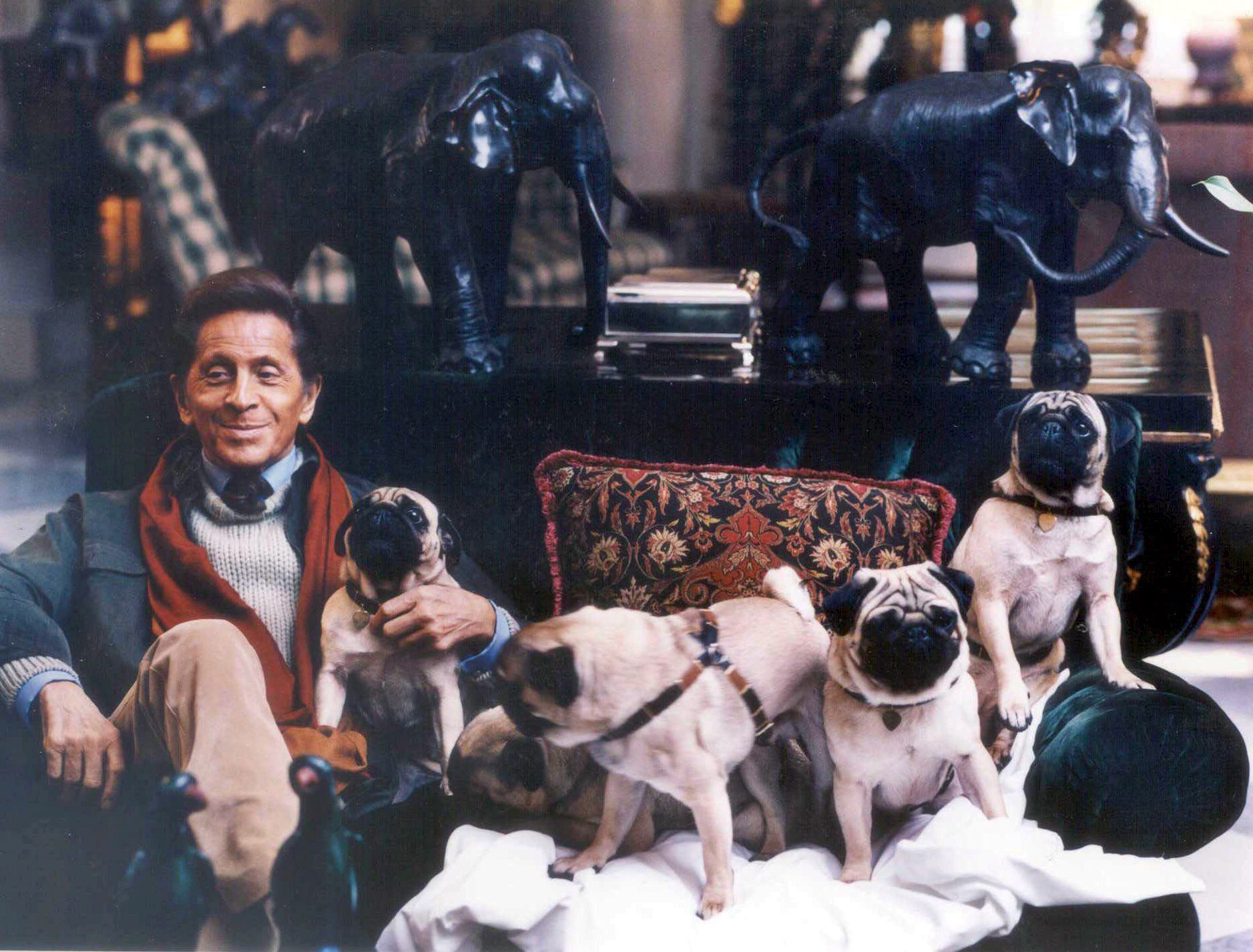 De mopshondjes van Valentino