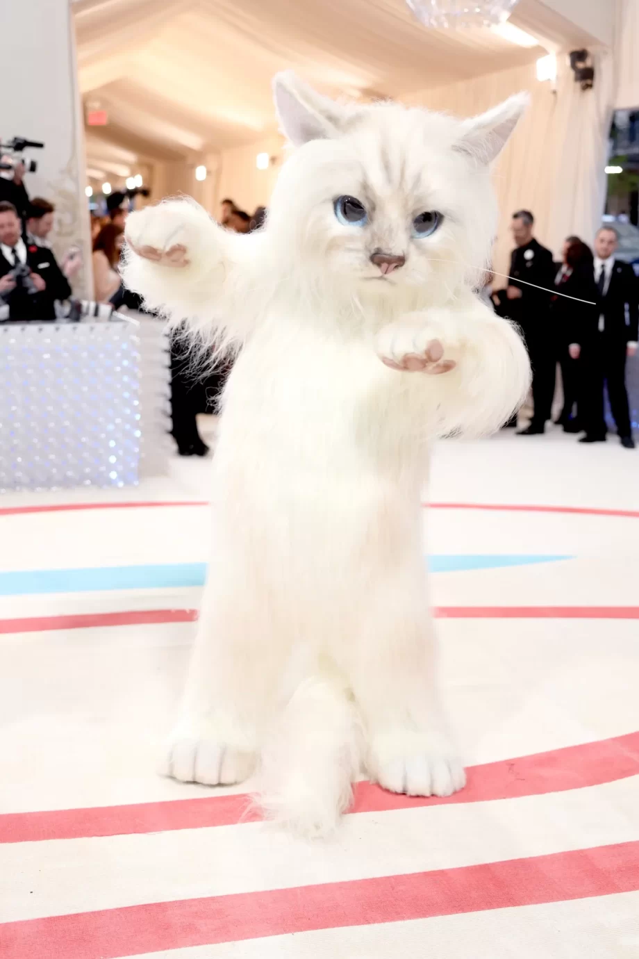 wie-zit-er-in-dat-reusachtige-kattenpak-op-het-met-gala-251914