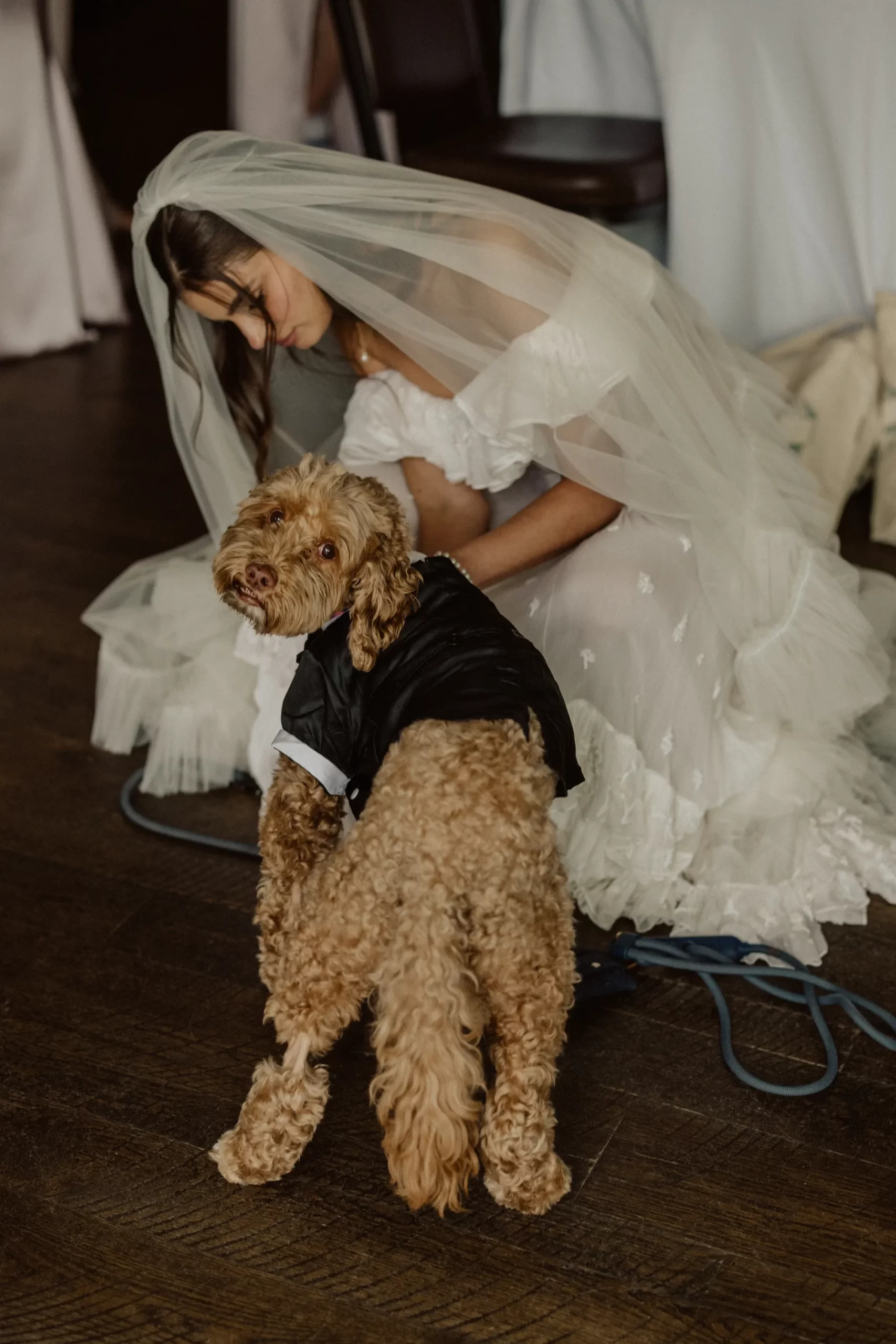 De hond van Taylor Hill op haar bruiloft