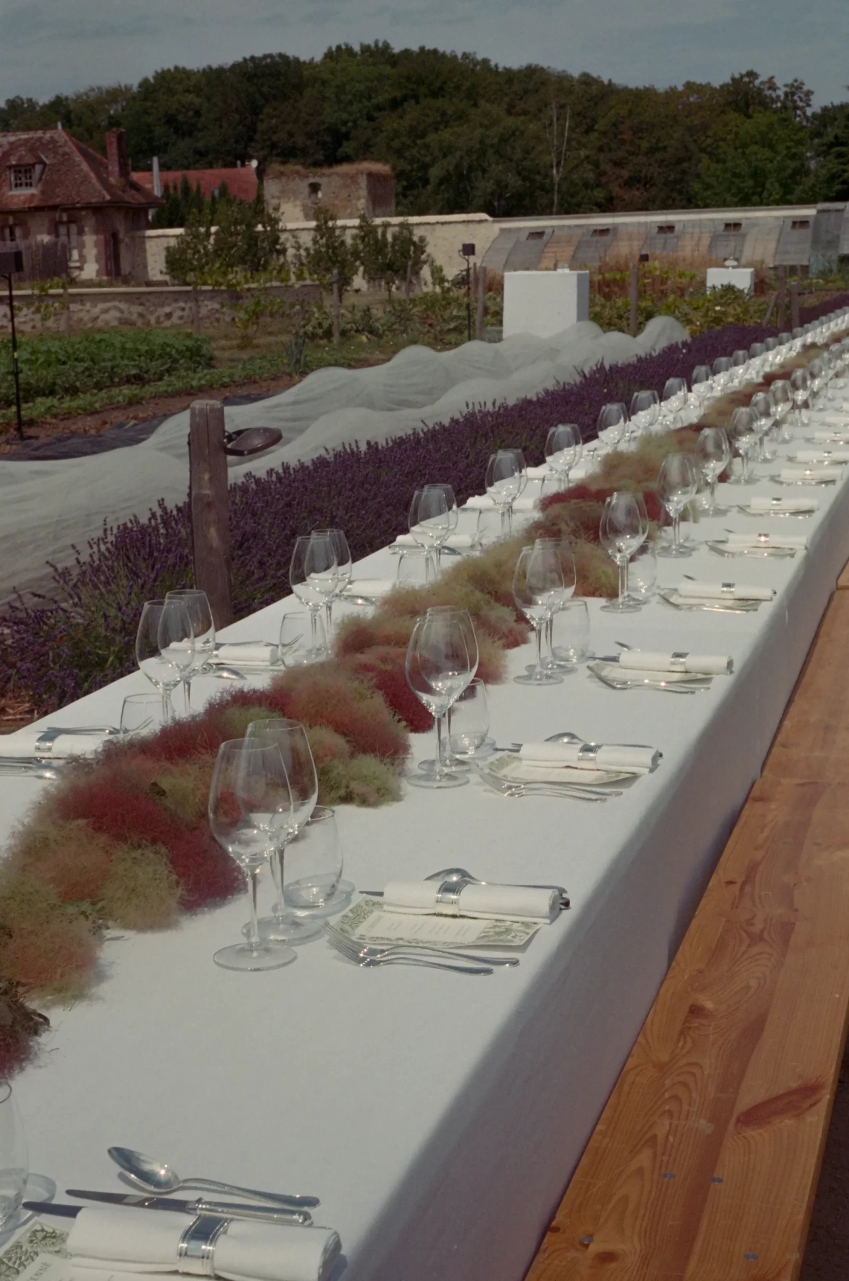 Het diner tijdens het feest van de bruiloft van Clara Cornet