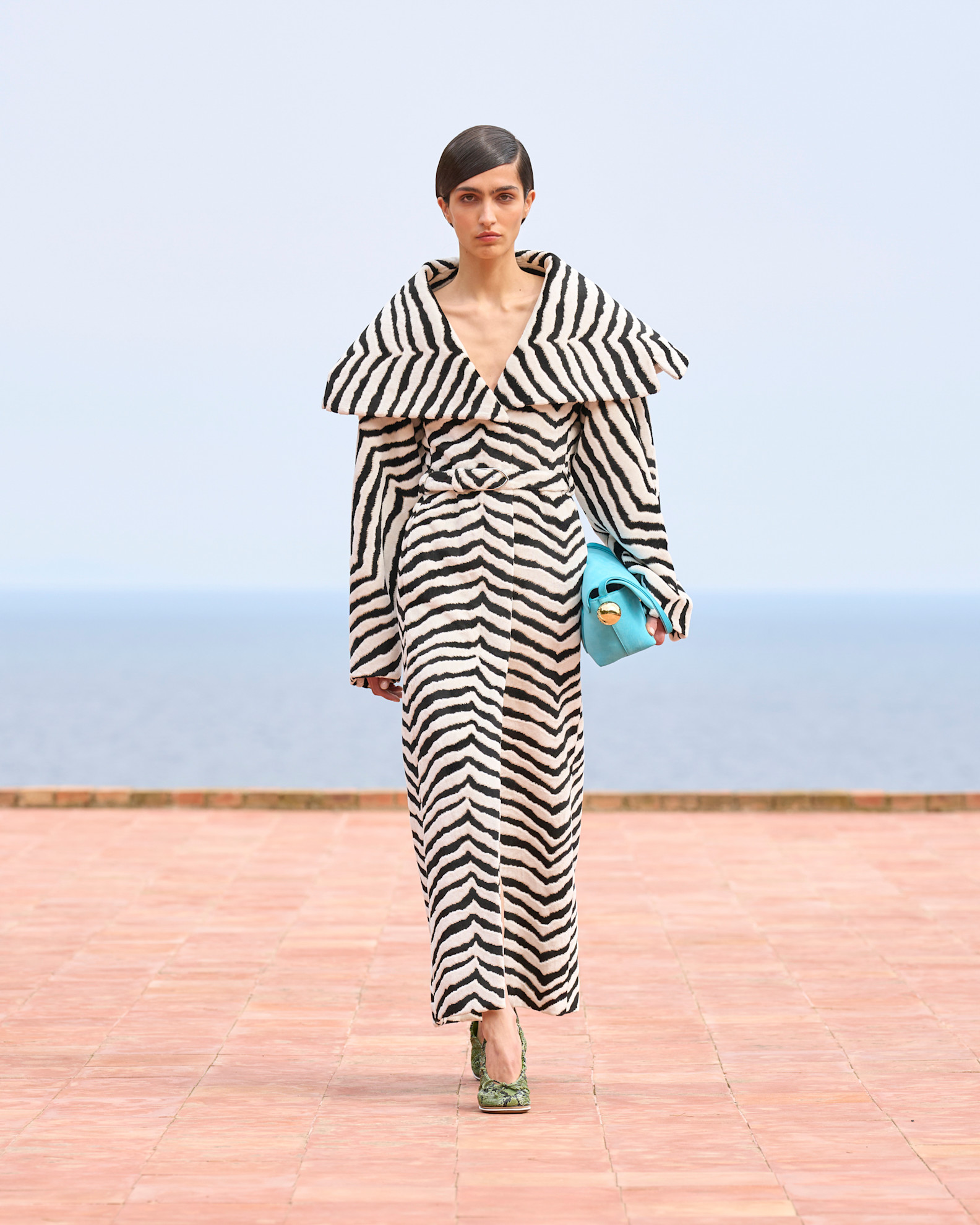 jacquemus jas zebraprint