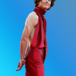 Timothee Chalamet in sierlijke, rode outfit
