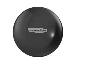 Technogym core bal gadget