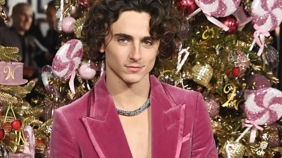 timothee-chalamet-ontwerpt-unieke-op-snoep-geinspireerde-willie-wonka-ketting-met-cartier-276638