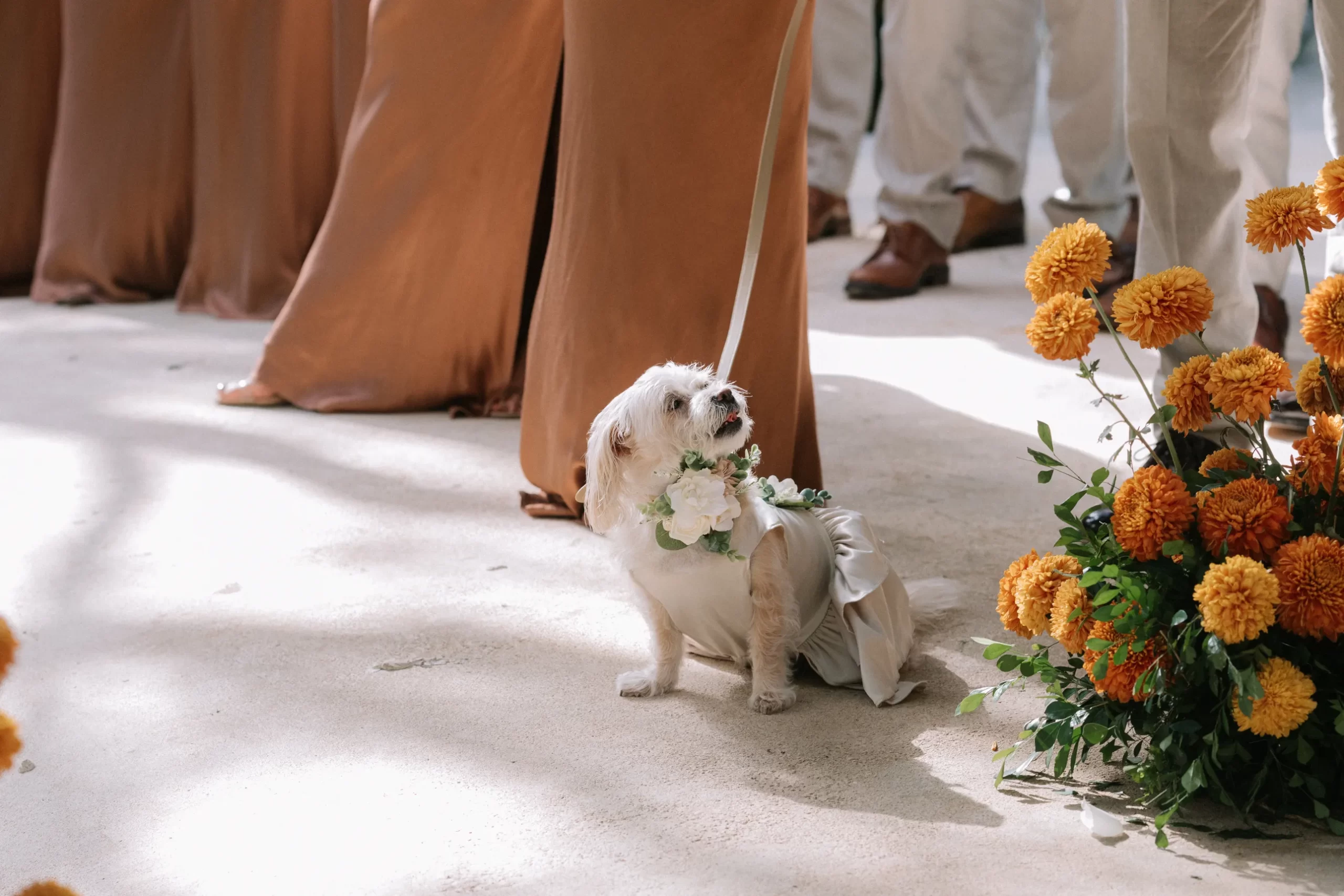 De bruiloft van Vanessa Hudgens