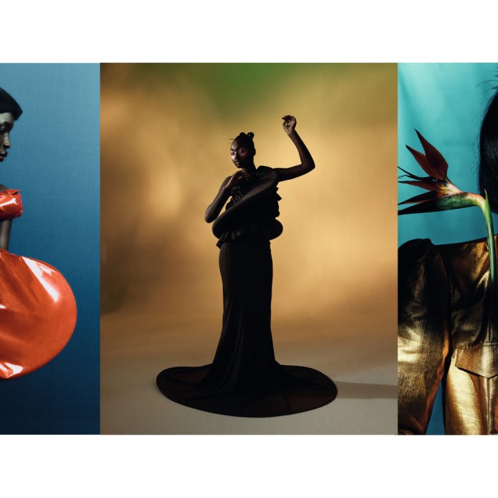 14-luxe-cadeaus-die-je-dierenliefhebbers-wil-geven-tijdens-de-feestdagen-279109