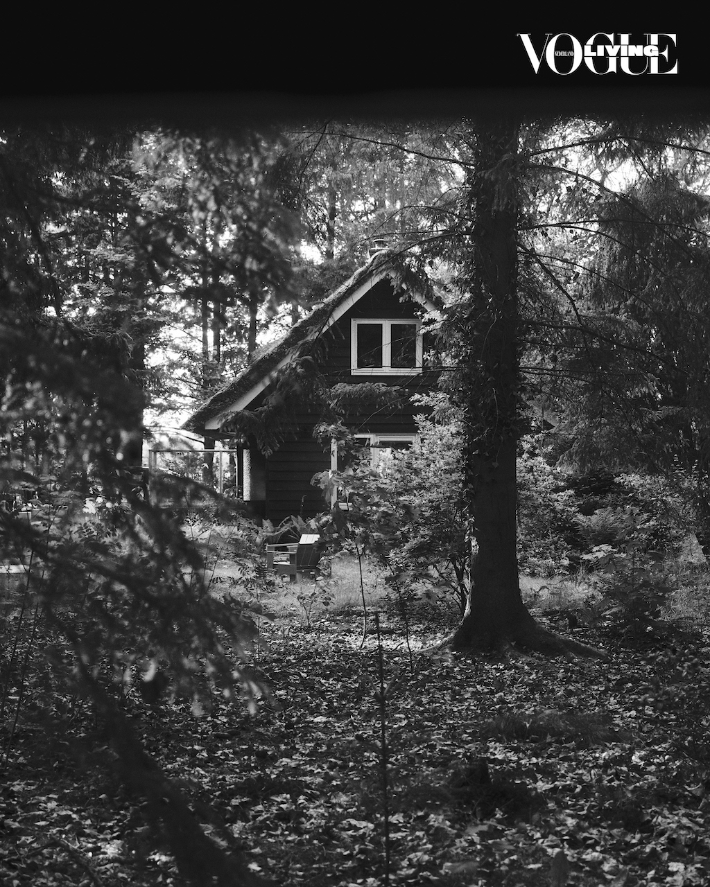 VL39_Post_Gizele Azad4