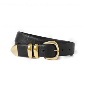 Anderson's riem