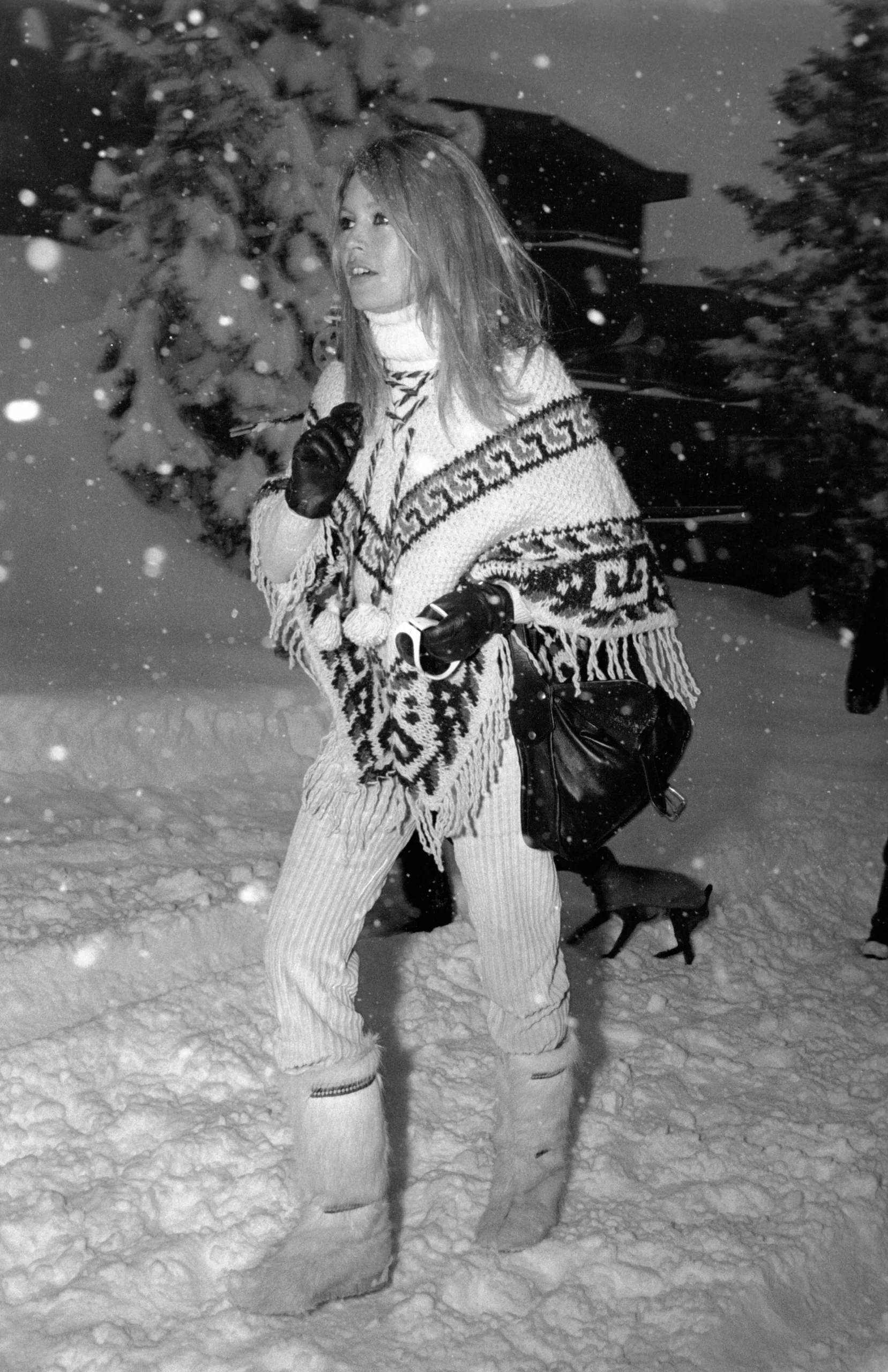 Brigitte Bardot in de sneeuw