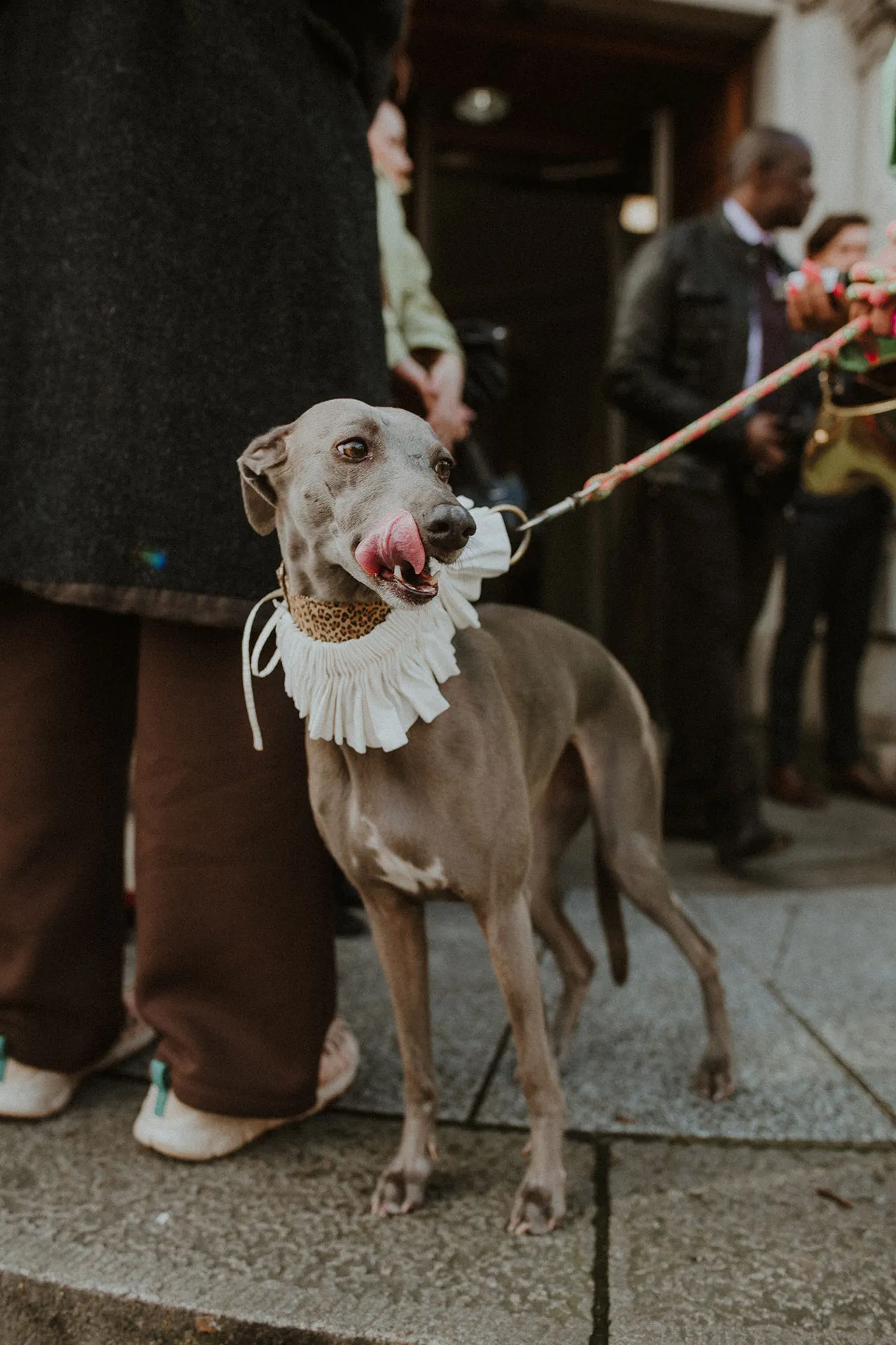 Raine en Freddies hond