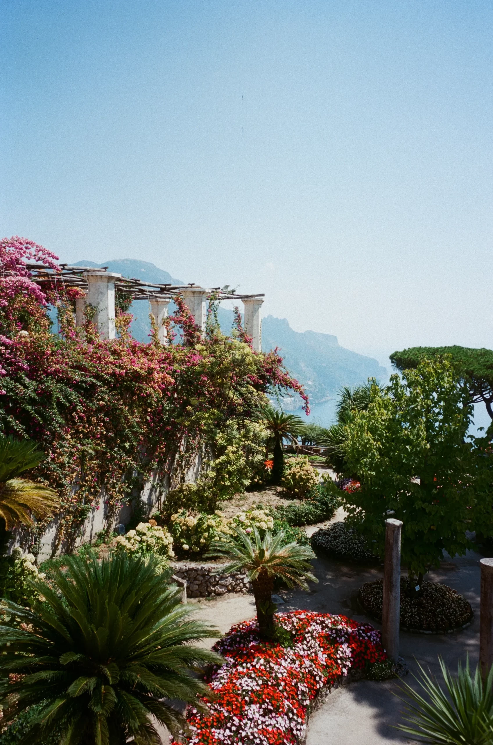 De tuinen van de trouwlocatie