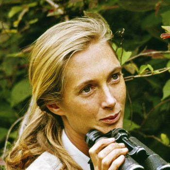 9-levenslessen-van-jane-goodall-nu-ze-90-jaar-wordt-292538