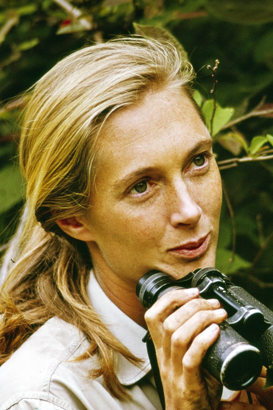 9-levenslessen-van-jane-goodall-nu-ze-90-jaar-wordt-292538