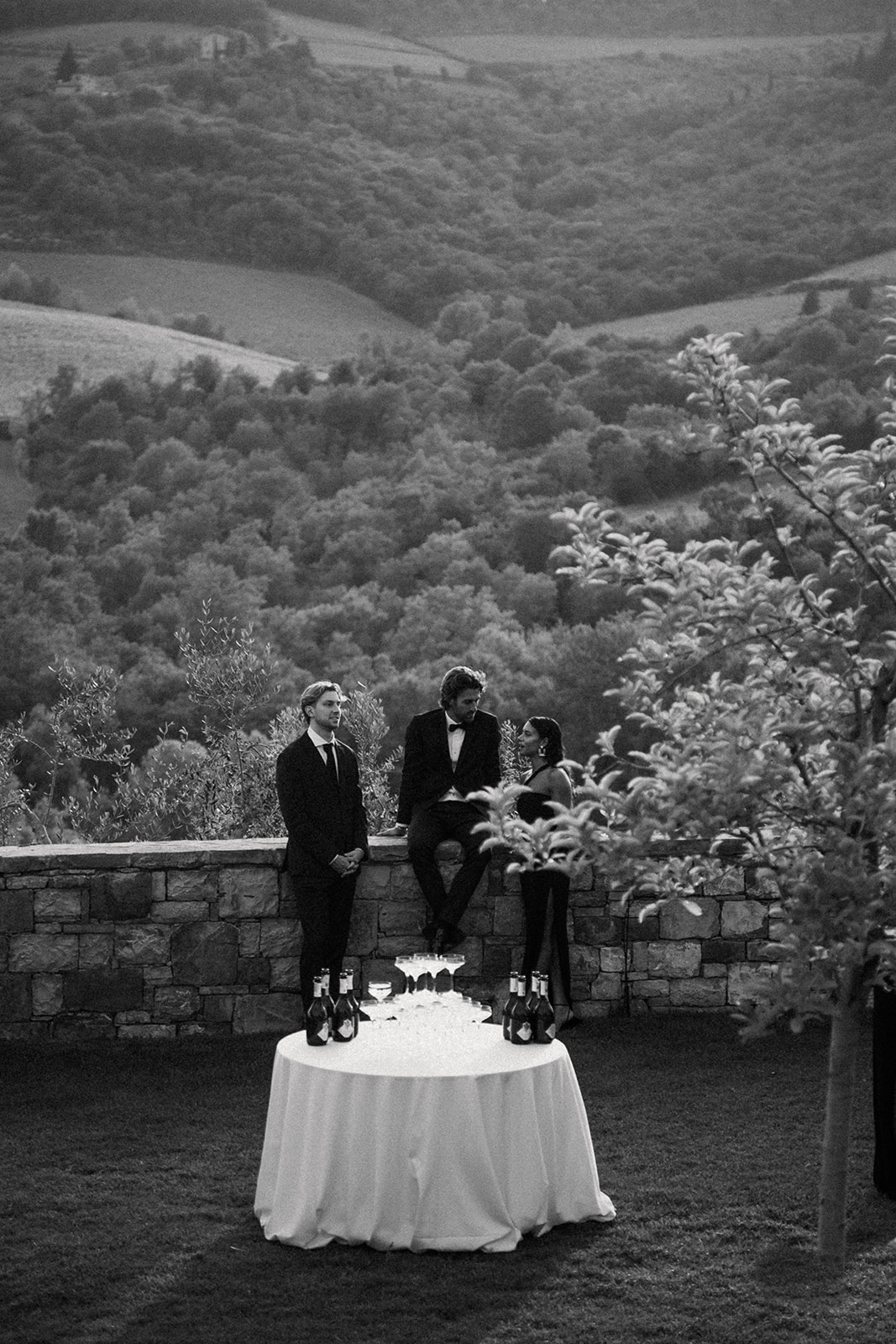 De gasten op het bruidsfeest