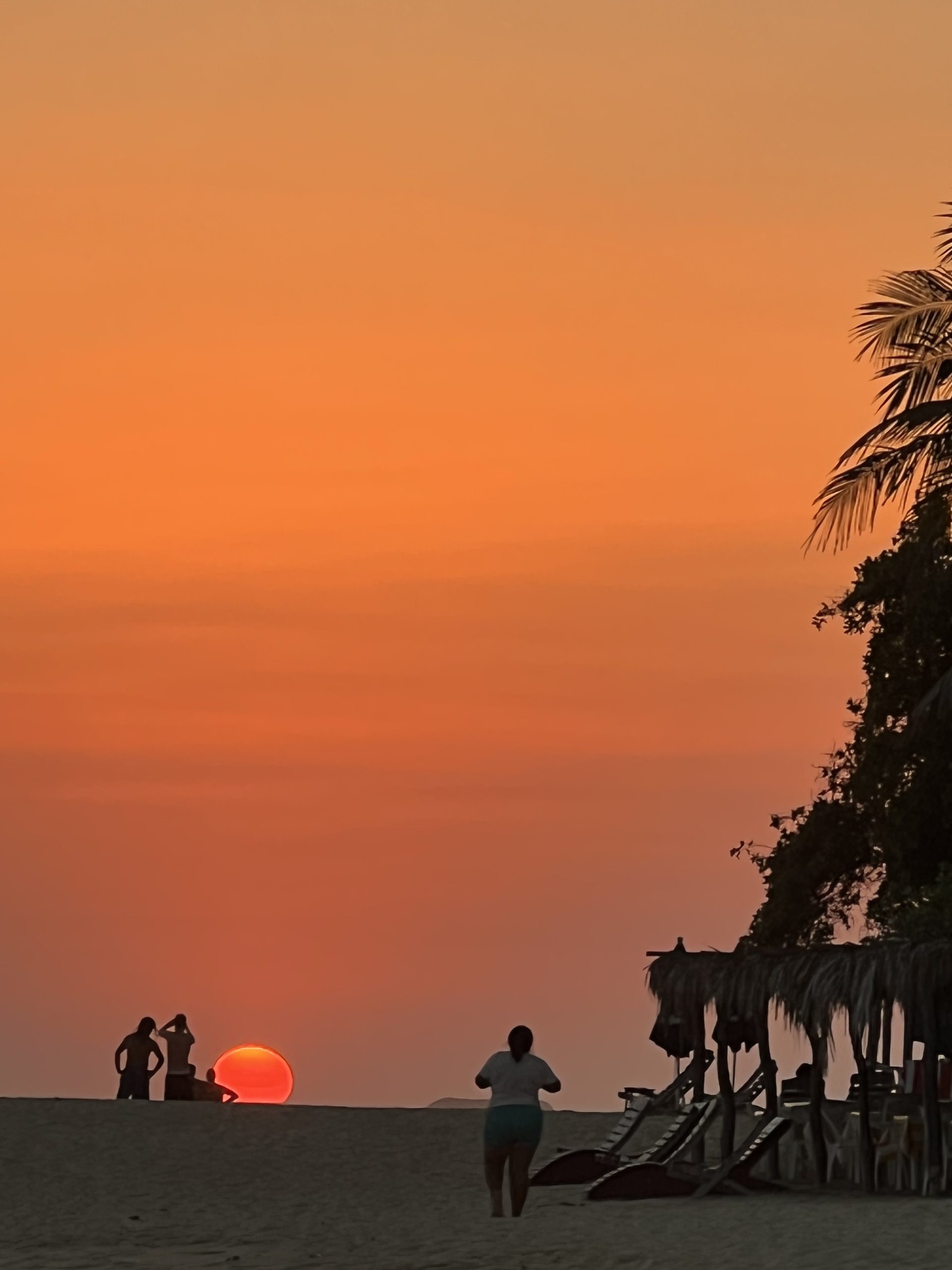 foto chef tara thomas