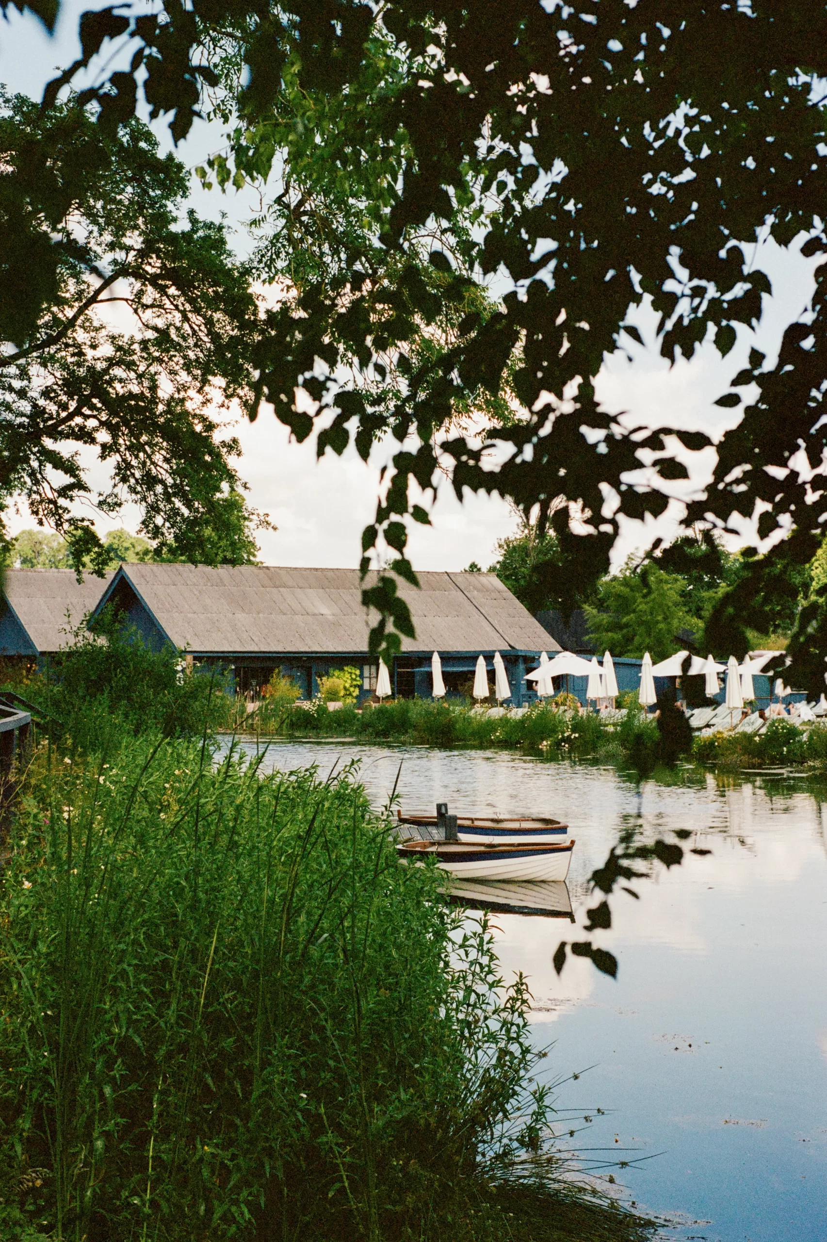 De bruiloft van Jessie Bongiovi en Jessie Light