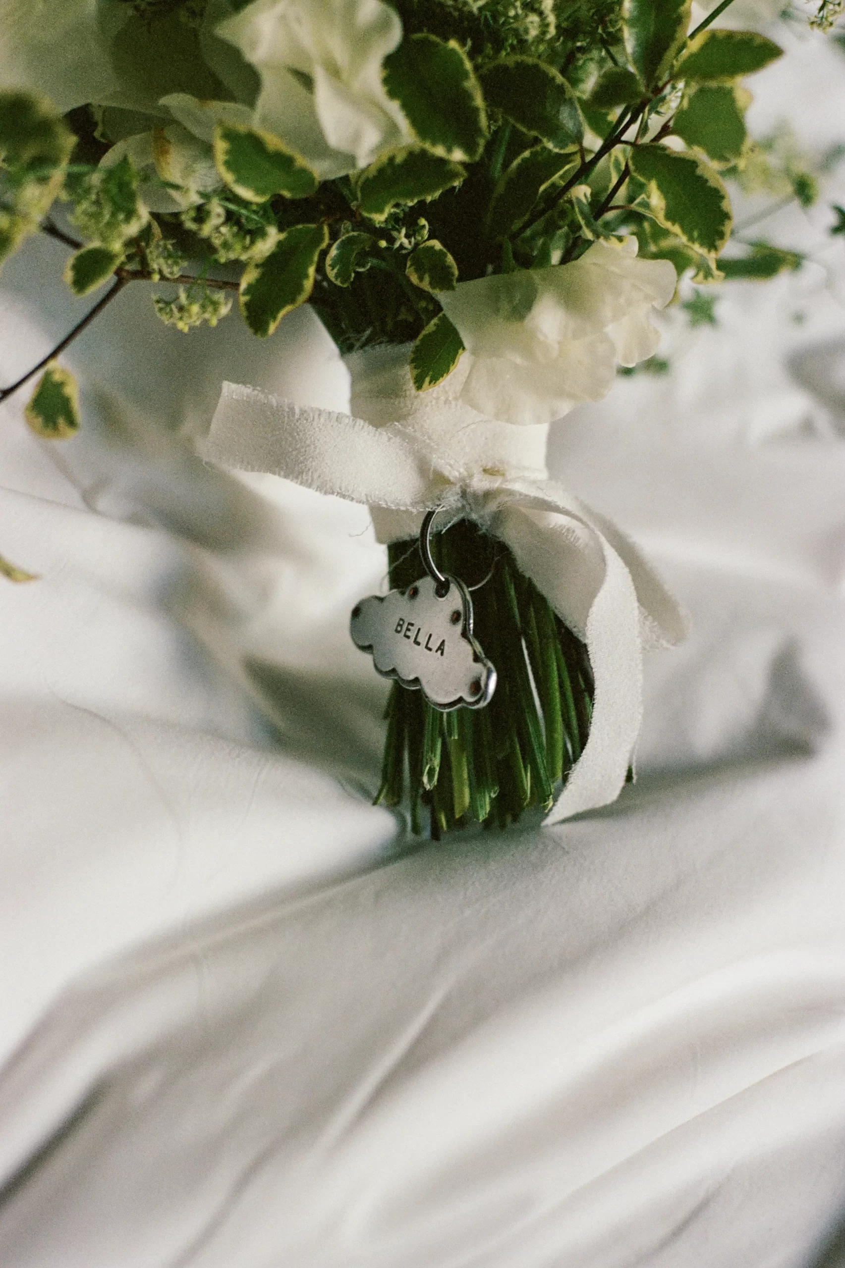 De bruiloft van Jessie Bongiovi en Jessie Light