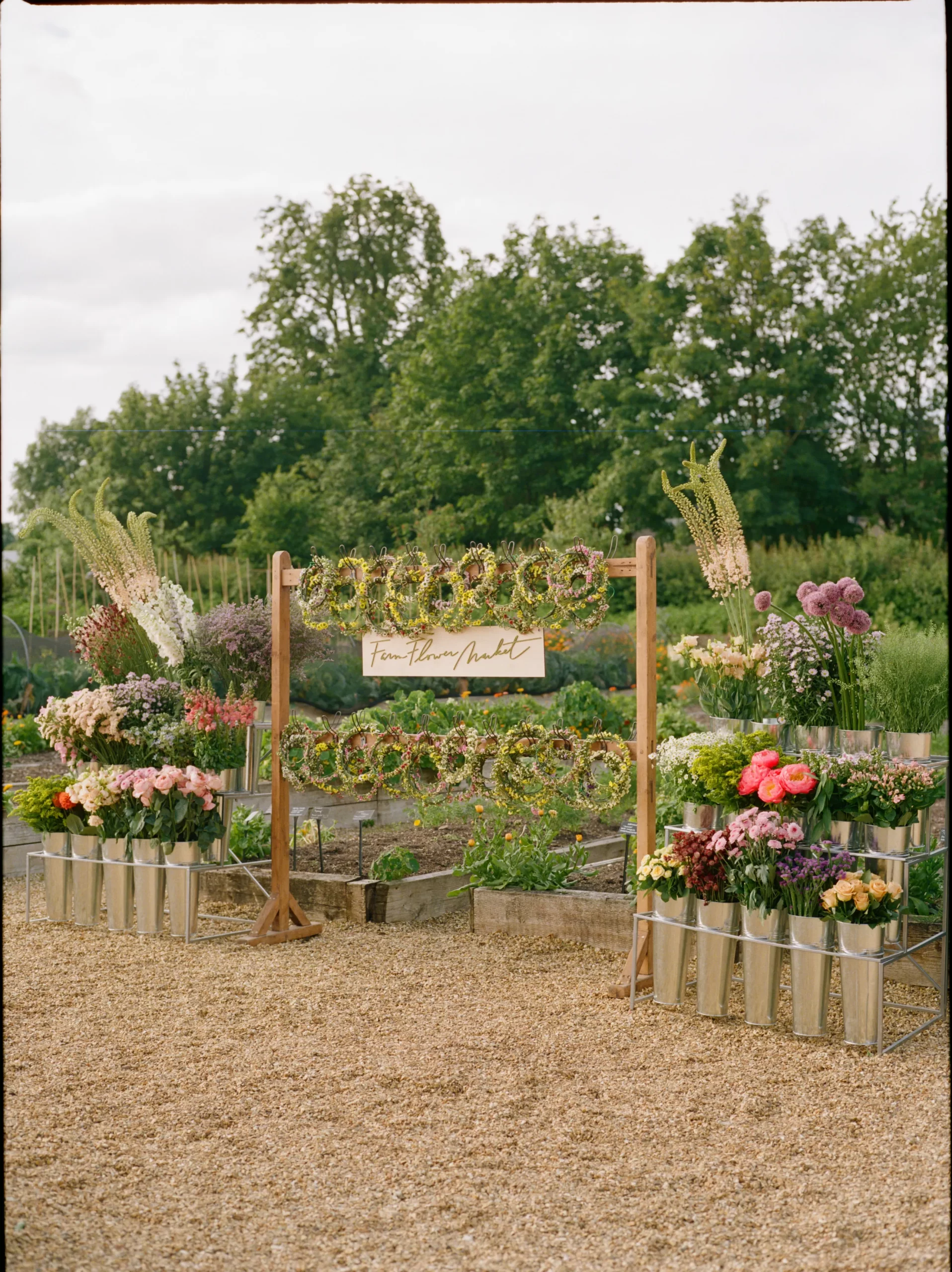 De bruiloft van Jessie Bongiovi en Jessie Light