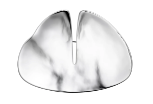 Kinraden broche trend in zilver