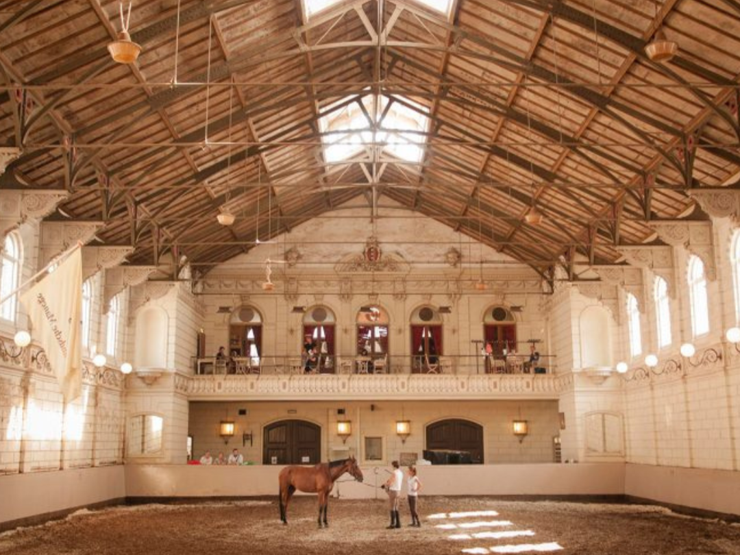 De Hollandsche Manege