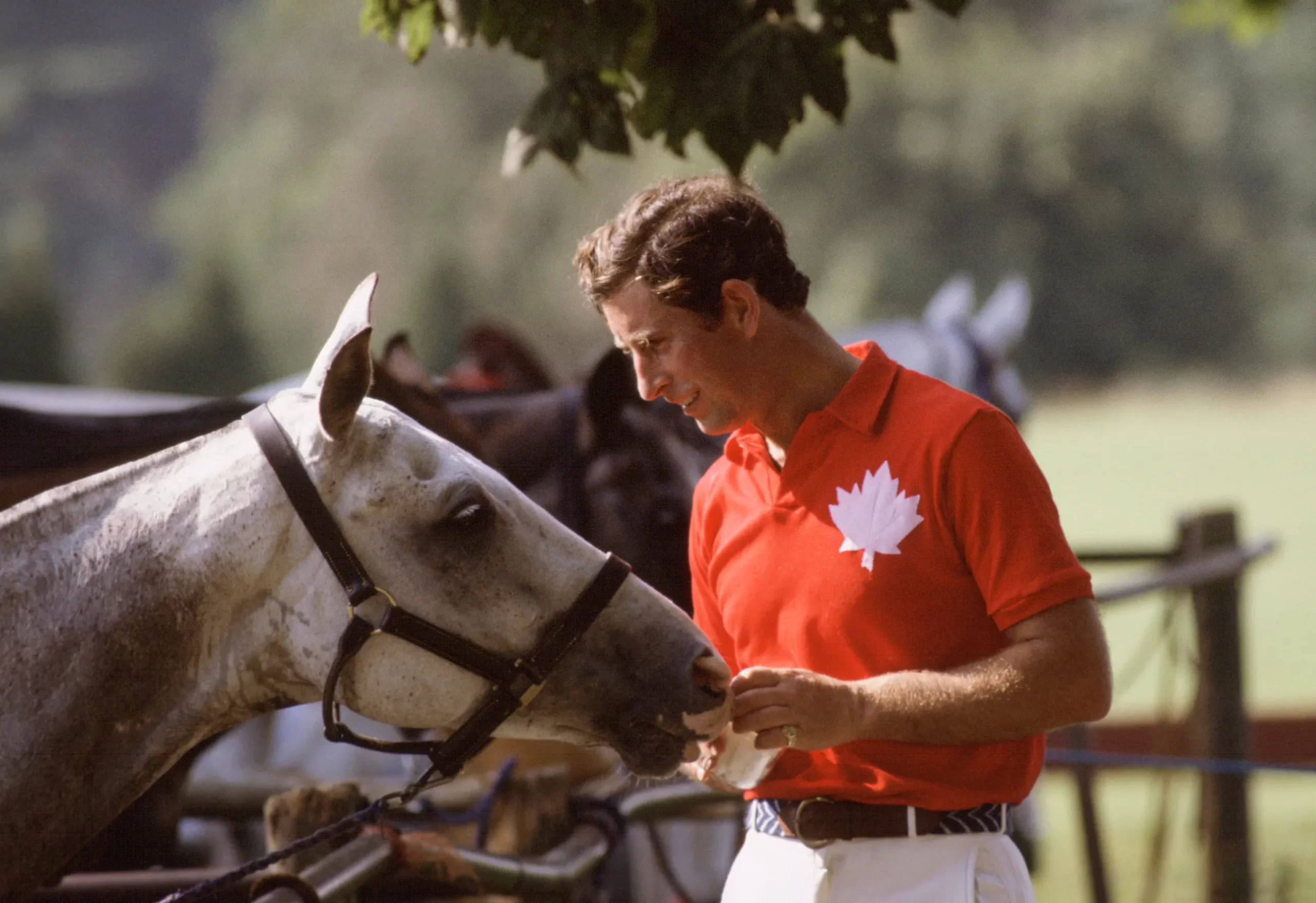 Een jonge prins Charles in 1981
