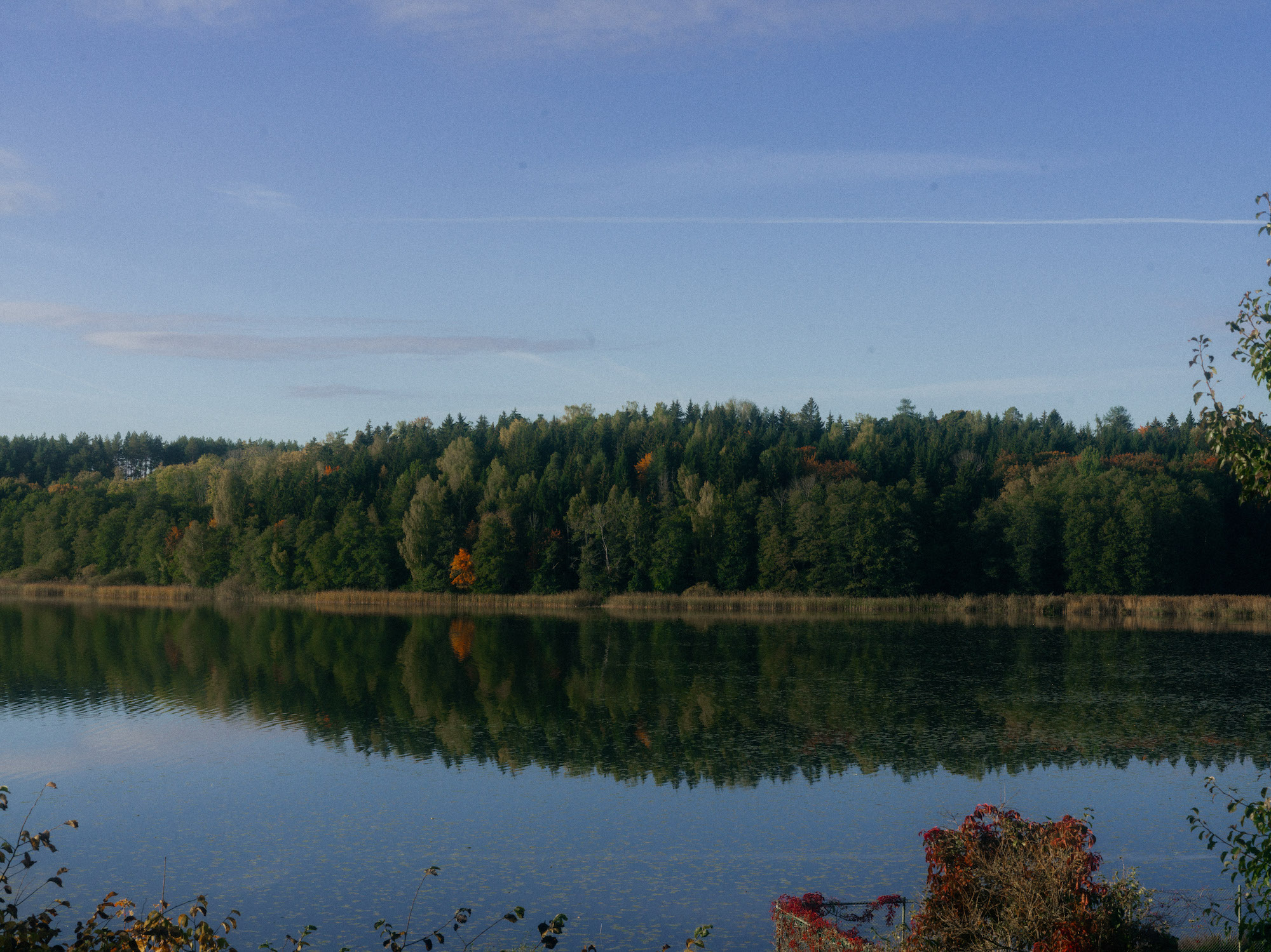 De Zweedse bruiloft van Astra en Roeland