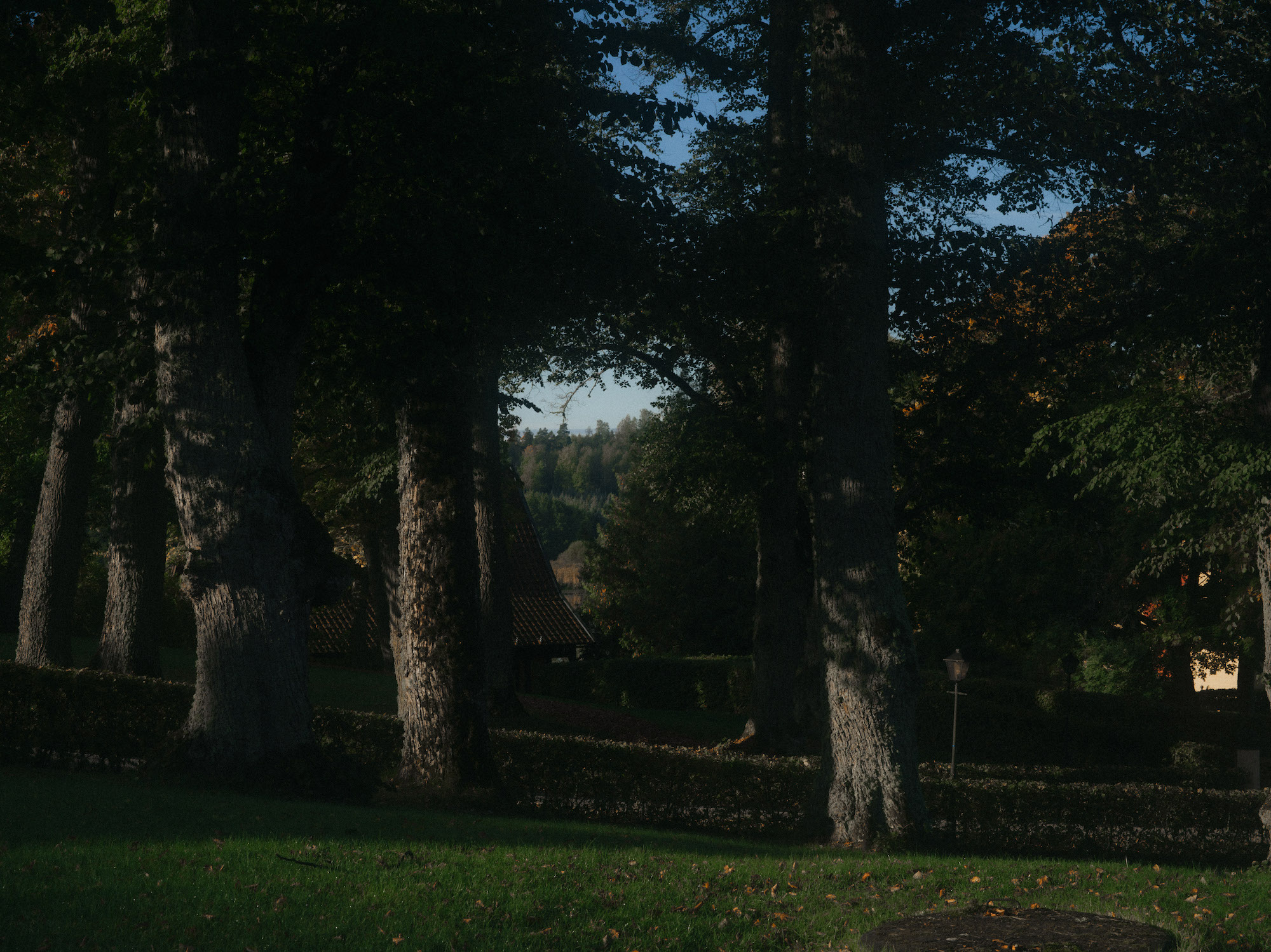 De Zweedse bruiloft van Astra en Roeland