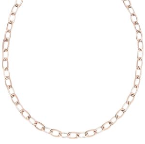 Schaap en Citroen schakelketting