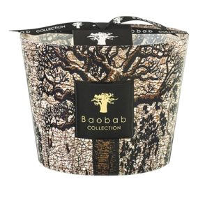 Baobab duurzaam cadeau geurkaars met heilige boom erop