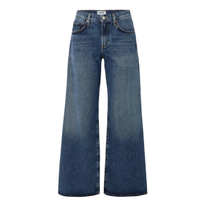 agolde baggy low rise wide leg jeans
