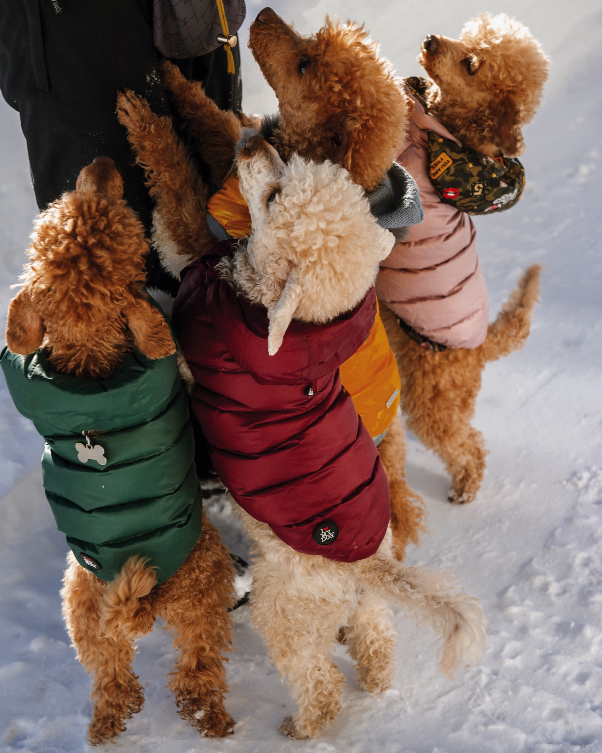 grand hotel waldhaus