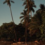 Beeld in Vogue Living van Costa Rica, waar een van de blauwe zones zich bevindt