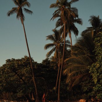 deze-blue-zone-gewoontes-voor-een-gezonder-en-langer-leven-wil-je-overnemen-379169