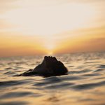 Vogue Curaçao shoot