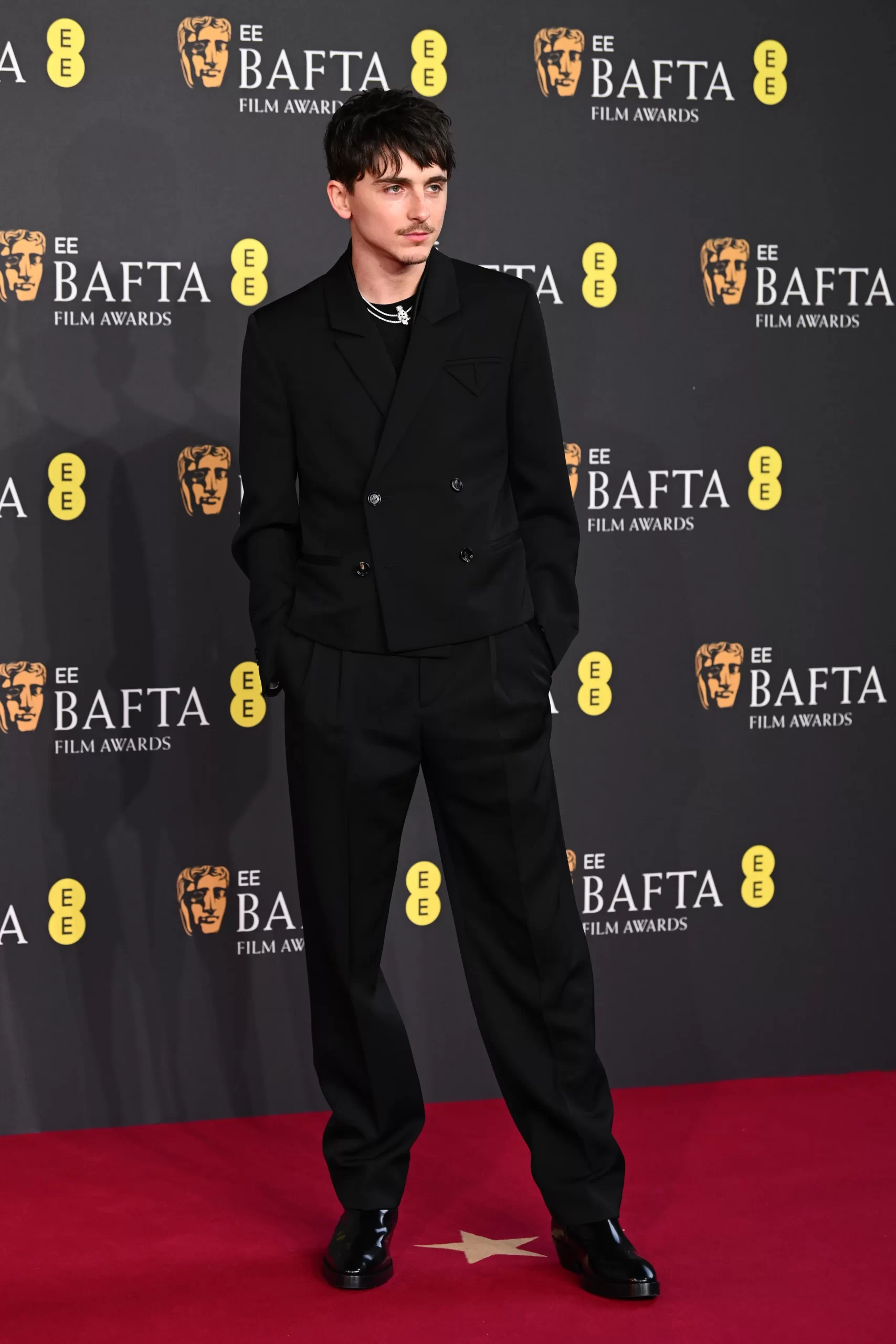 Timothée Chalamet in Bottega Veneta