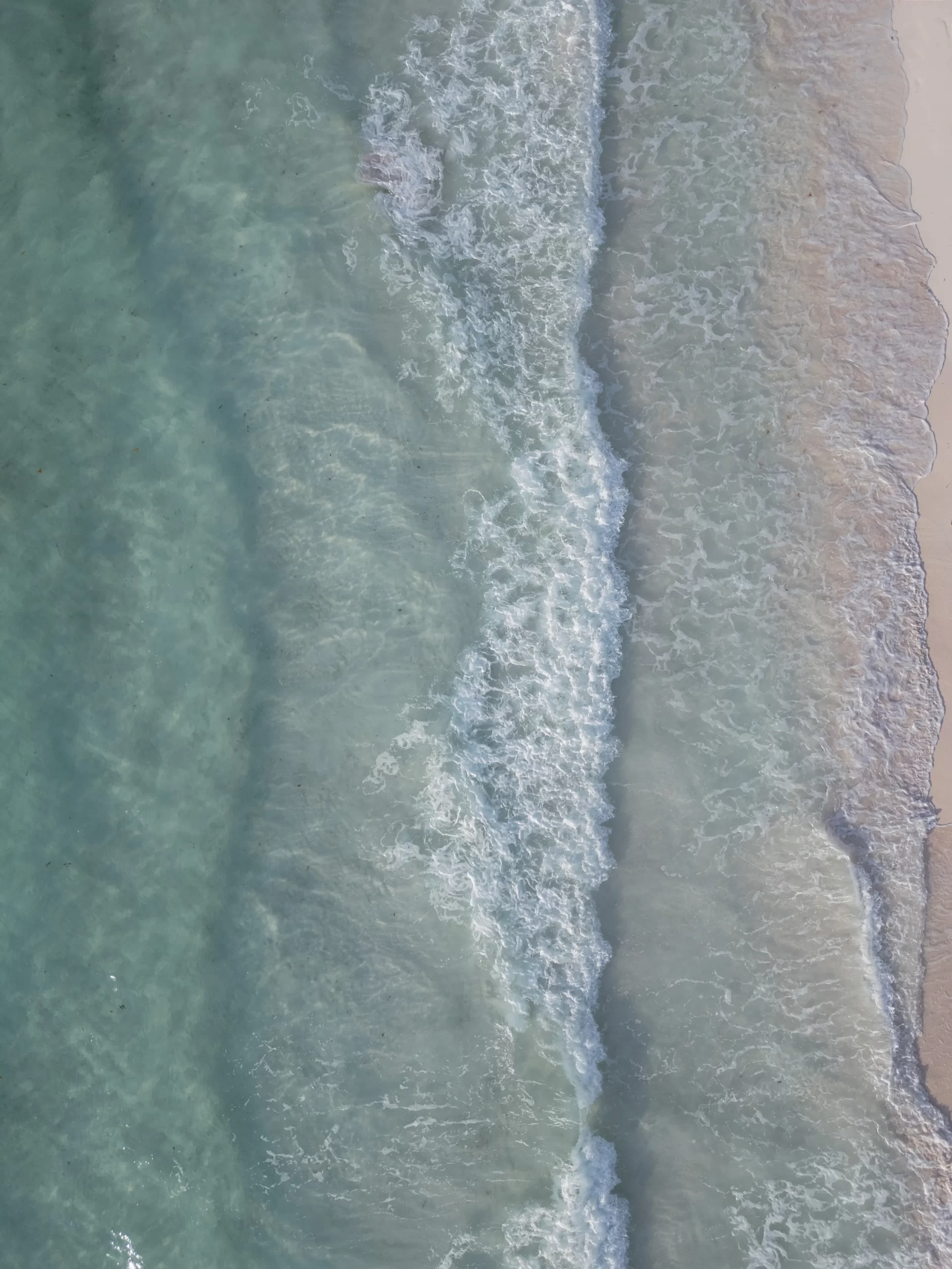 De bruiloft van Justin Theroux en Nicole Brydon Bloom in Mexico