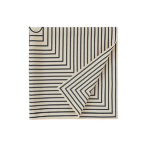 Inspiratie uit mannencollectie TOTEME Sjaal van zijde met streepprint