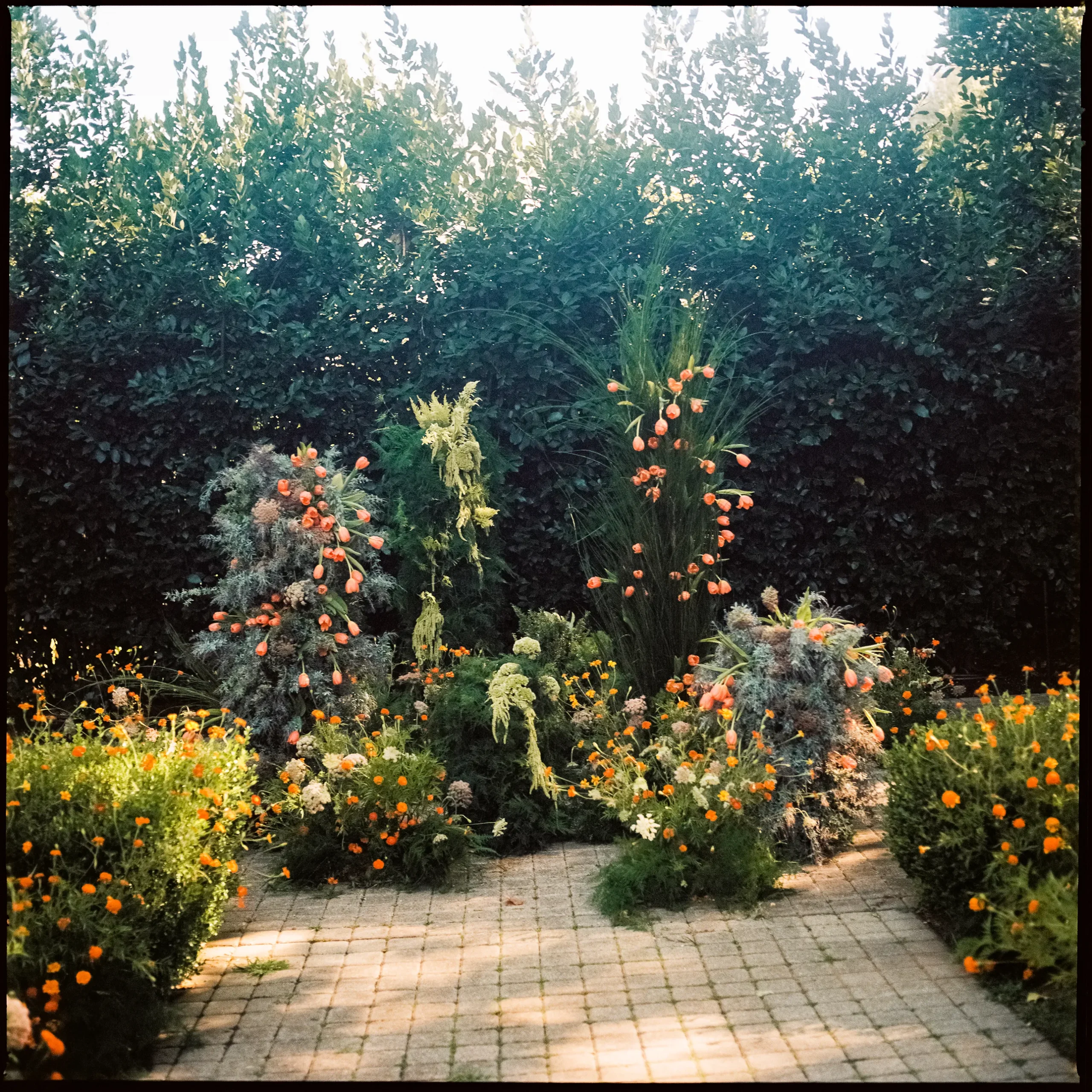 De bruiloft van Zoé Colton in Californië