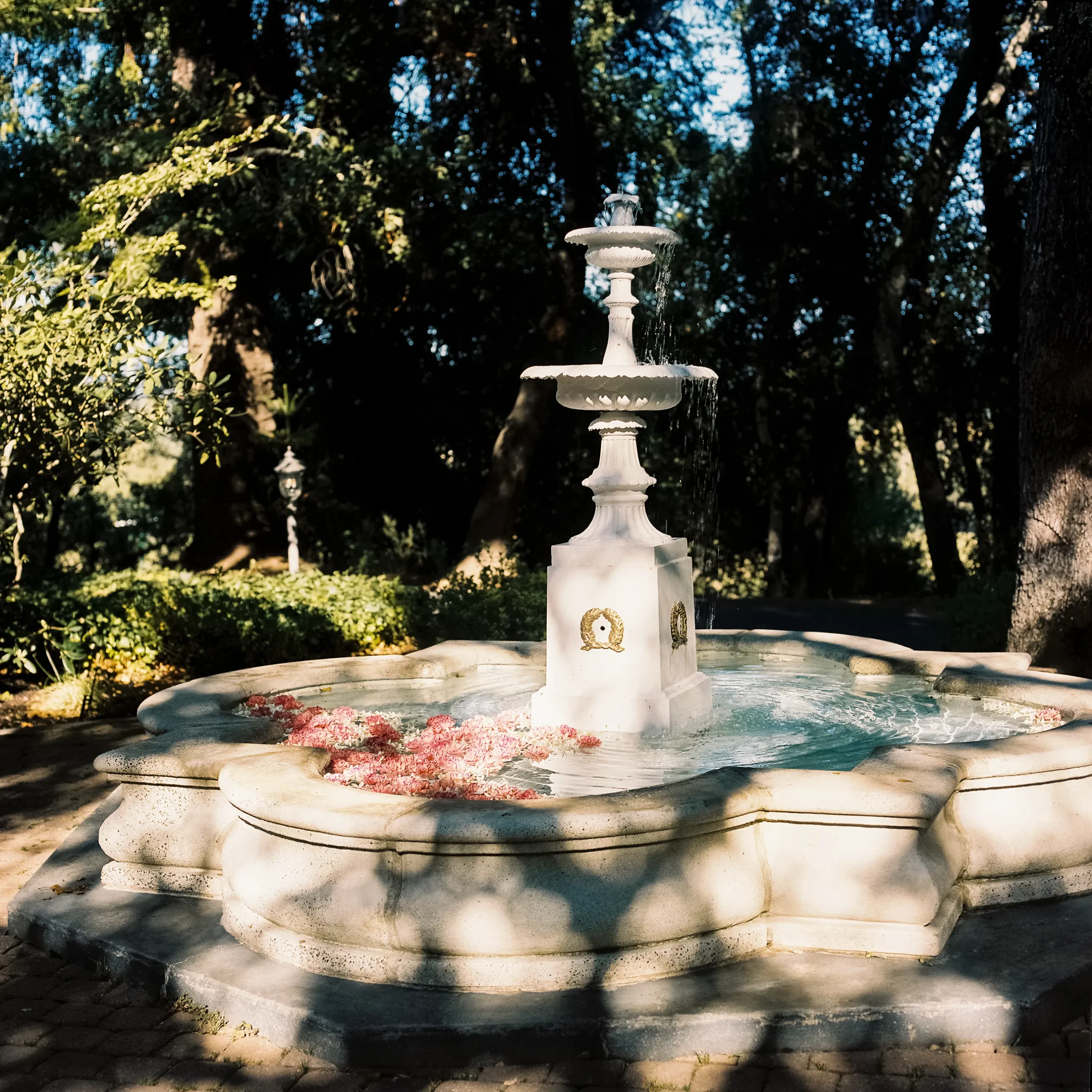 De bruiloft van Zoé Colton in Californië