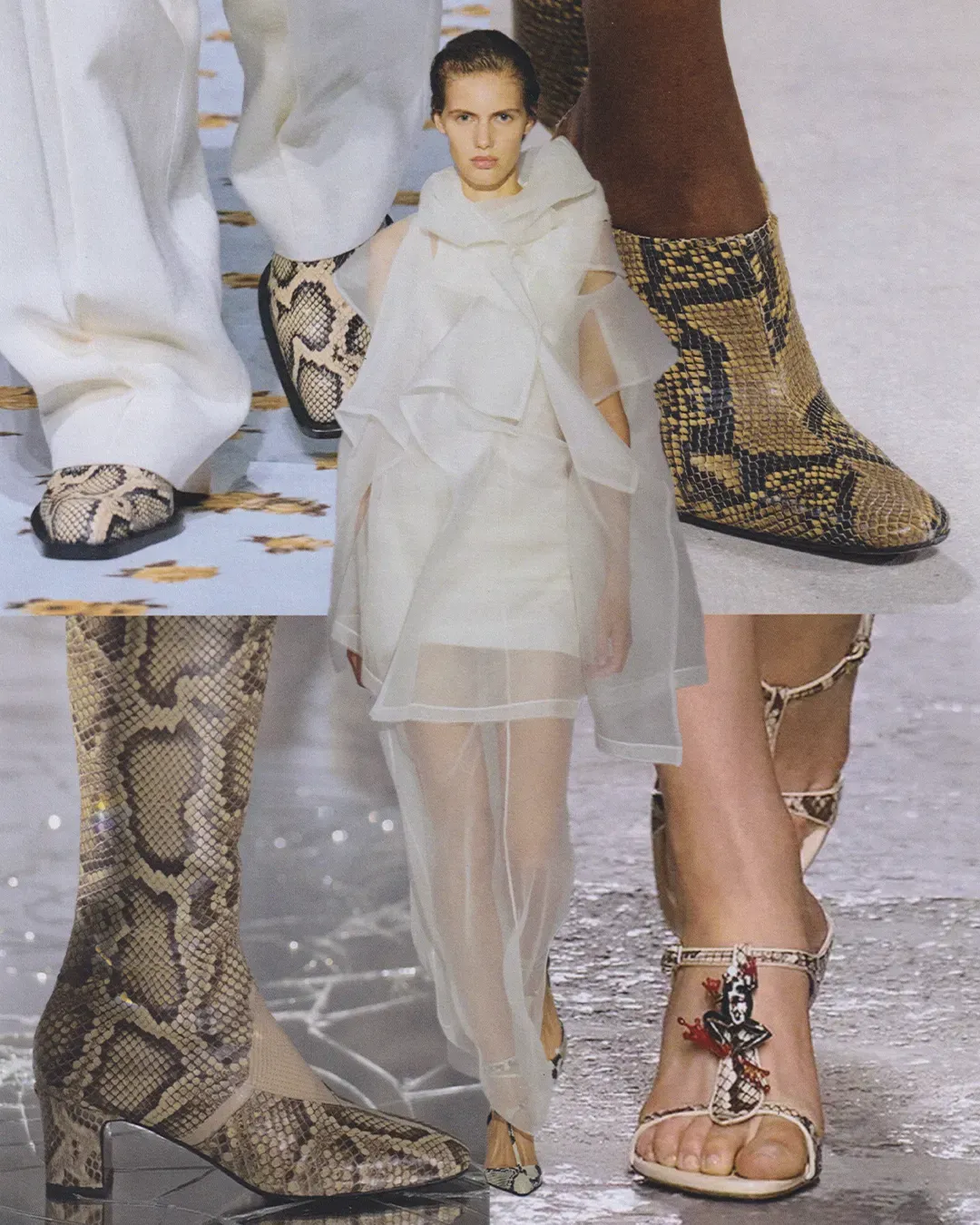 Schoenen met slangenprint