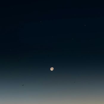dit-is-hoe-de-volle-maan-van-12-mei-jouw-sterrenbeeld-zal-beinvloeden-346193