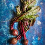 Bieten met blauwe achtergrond